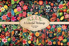 A Colorful Mélange Product Image 1