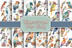 Watercolored Boho Birds Illustrated 12 Variations Product Image 1