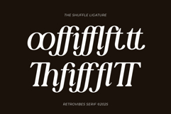 The Shuffle Product Image 10