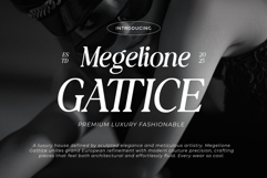 The Shuffle Product Image 2