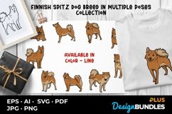 Finnish Spitz Dog Breed In Multiple Poses Collection Product Image 1