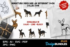 Miniature Pinscher on Different Pose Collection Product Image 1