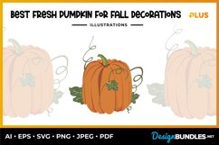 Best Fresh Pumpkin for Fall Decorations Illustrations Product Image 1