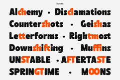 SS Walken - Modern Bold Font Product Image 3