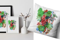 1 Graphic DRAWING/ Watercolor drawing of red berries Product Image 5