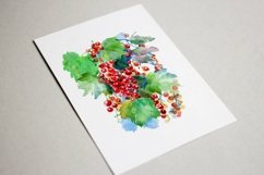 1 Graphic DRAWING/ Watercolor drawing of red berries Product Image 4