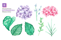 13 Watercolor Hydrangea Flower Illustrations Product Image 3