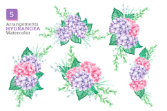 13 Watercolor Hydrangea Flower Illustrations Product Image 2