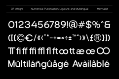 Ziftone Family Font Product Image 10