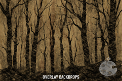 Spooky Charcoal Autumn Forest Overlay Backgrounds Product Image 4