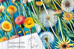 Funky Dandelions Set 3 - Transparent Watercolor Paintings Product Image 4