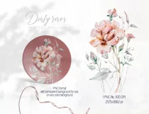 Watercolor rose flower clipart. Botanical illustration Product Image 5