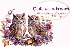 Beautiful owls on a purple branch, png Product Image 1
