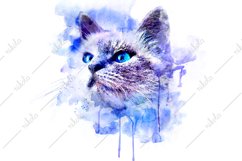 Cat Kitten Watercolor Sublimation Clipart PNG JPG Product Image 1