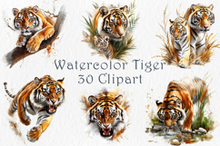 Watercolor Tiger Clipart Set, 30 PNG Product Image 1