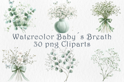 Watercolor Babys Breath Clipart, 30 png Product Image 1