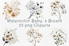 Watercolor Babys Breath Clipart, 25 png Product Image 1