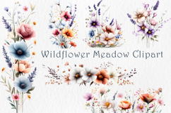 Wildflower Meadow Clipart, 40 png Product Image 1