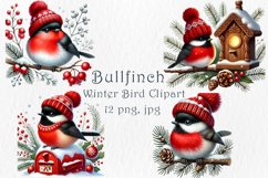 Bullfinch Winter Bird Clipart, 12 png, jpg Product Image 1