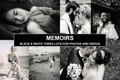 CINEMATIC BW Film LUTS PACK for Videos / Moody / Travel Product Image 1