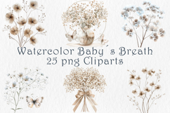 Watercolor Babys Breath Clipart, 25 png Product Image 1