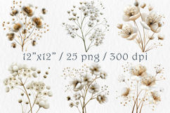 Watercolor Babys Breath Clipart, 25 png Product Image 2