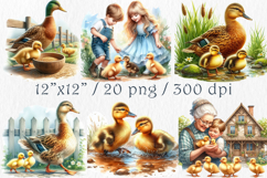 Duck Family Clipart 20 PNG. Product Image 2