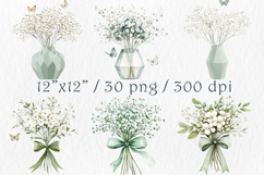 Watercolor Babys Breath Clipart, 30 png Product Image 2