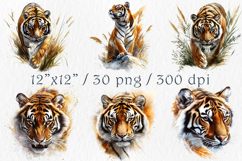 Watercolor Tiger Clipart Set, 30 PNG Product Image 2