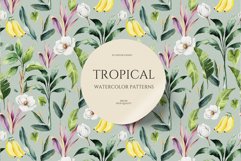 Tropical DesignPattern &amp; Motifs. Tropical seamless Product Image 7