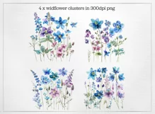 Blue Wildflower Clusters, 4 x png watercolour flower borders Product Image 2