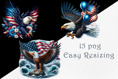 Independence Day USA Clipart, 15 png Product Image 3