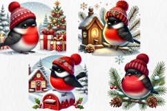 Bullfinch Winter Bird Clipart, 12 png, jpg Product Image 3