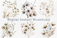 Watercolor Babys Breath Clipart, 25 png Product Image 3