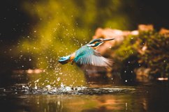CINEMATIC Cocoa Film LUTS PACK for Videos / Moody / Travel Product Image 2