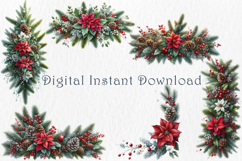 Christmas Poinsettia Clipart Set, 20 png Product Image 3