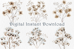 Watercolor Babys Breath Clipart, 25 png Product Image 3