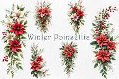 Poinsettia Clipart Bundle, 35 png Product Image 4