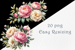 Pink Peonies Watercolor Clipart, 20 png Product Image 4