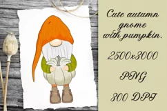 Cute autumn gnome clipart. Sublimation PNG. Product Image 1