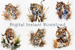 Watercolor Tiger Clipart Set, 30 PNG Product Image 4
