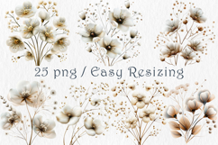 Watercolor Babys Breath Clipart, 25 png Product Image 4