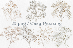 Watercolor Babys Breath Clipart, 25 png Product Image 4