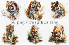 Watercolor Tiger Clipart Set, 30 PNG Product Image 5