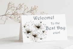 Watercolor Babys Breath Clipart, 25 png Product Image 5