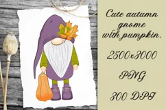 Cute autumn gnome clipart. Sublimation PNG. Product Image 1