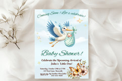 Stork and Baby Shower Set, 15 png Product Image 5