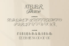 Atelier Blume - Elegant Script with Serif Font Product Image 14
