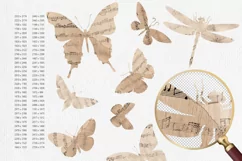 Butterflies silhouettes with vintage music paper texture Product Image 3