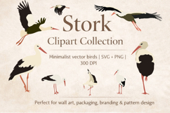Elegant Stork Illustration Bundle | Nature Birds Vector Art Product Image 1